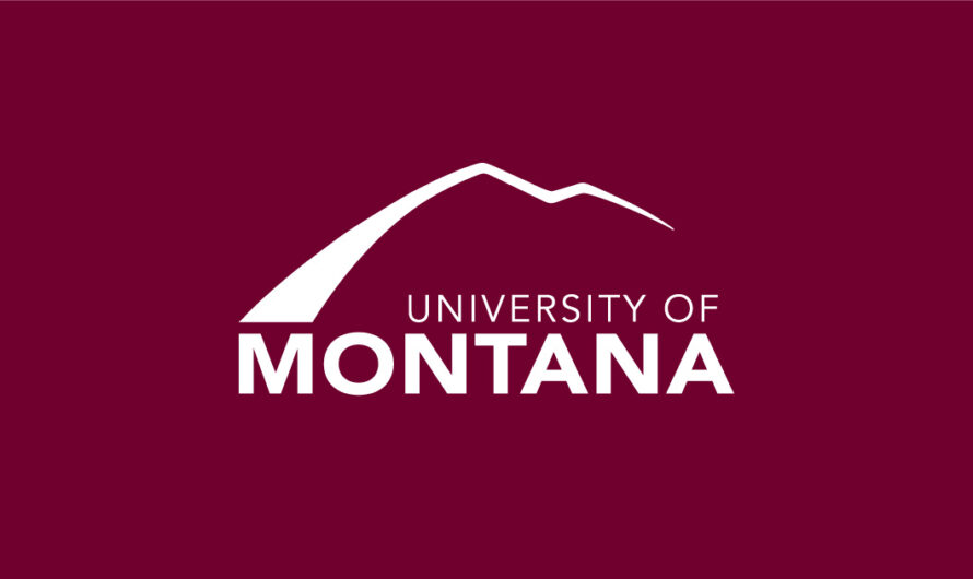 Mastering Website Structure: Effective Strategies for Organizing Digital Content